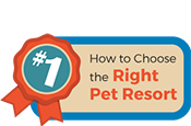 How to Choose the Right Pet Resort Mobile