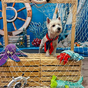 Nautical