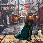 Pups N Potions